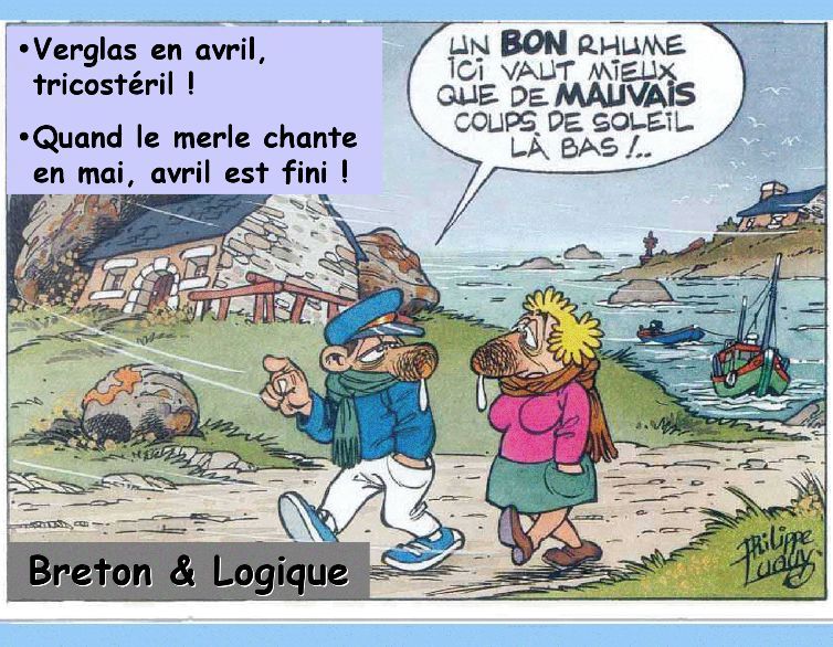 Quel Est Le Dicton De La Saint-médard